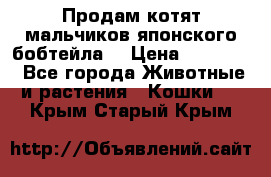 Продам котят мальчиков японского бобтейла. › Цена ­ 30 000 - Все города Животные и растения » Кошки   . Крым,Старый Крым